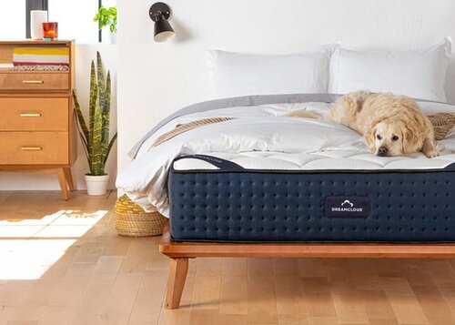 The Dreamcloud Luxury Hybrid offers a comfortable pillowtop, memory foam and gel foam, situated on top of a pocket coil suspension. Image also includes a dog on the mattress.