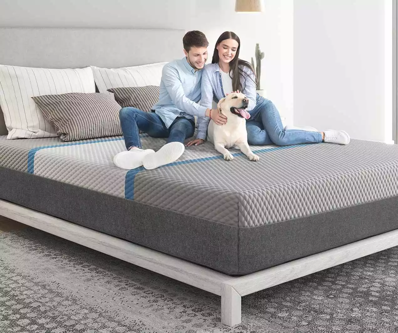 The Best Mattresses Sold Online? 25 Year Industry Veterans Guide