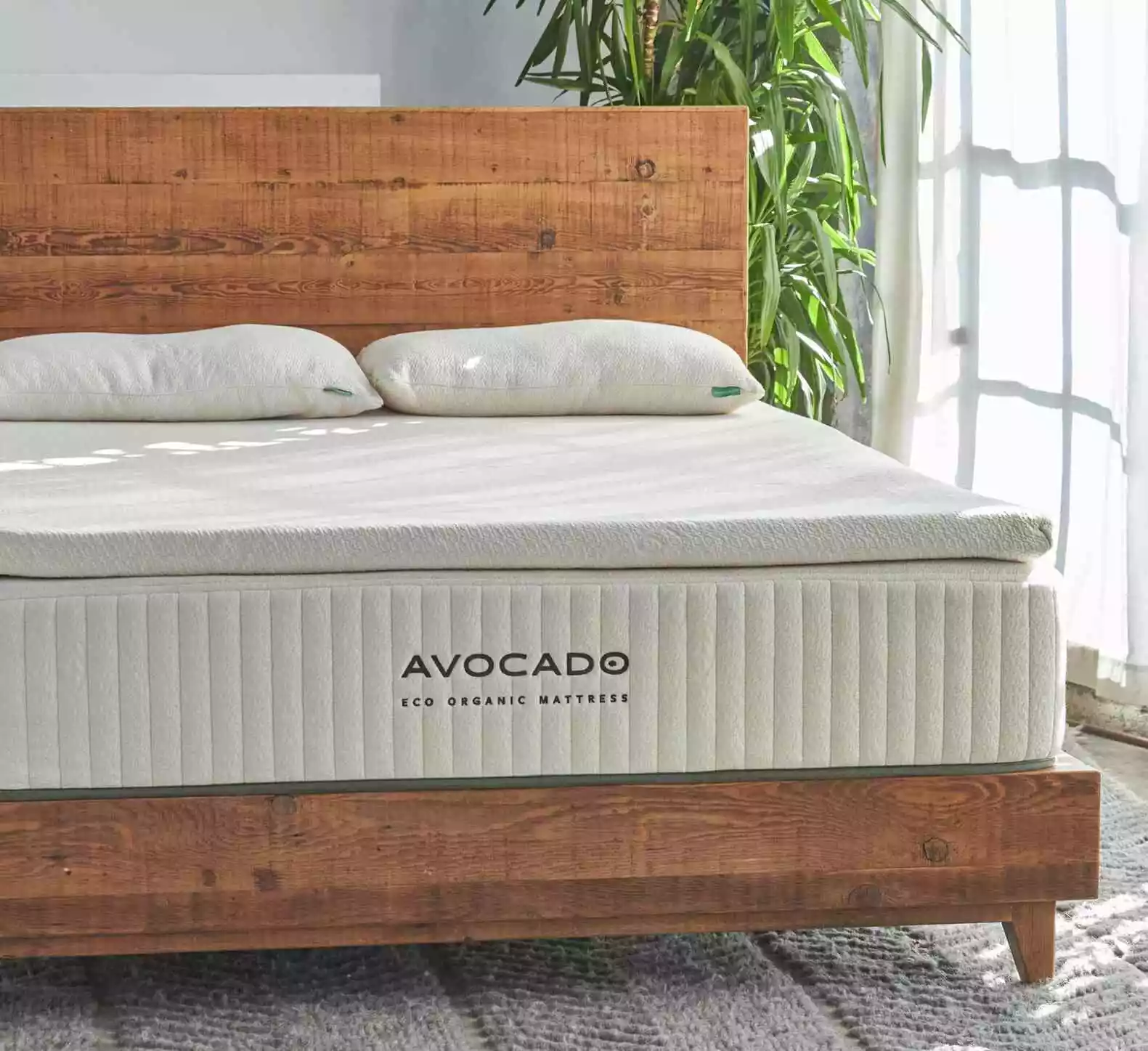 Avocado Mattress Reviews 25 Year Industry Pro's Revealing Guide